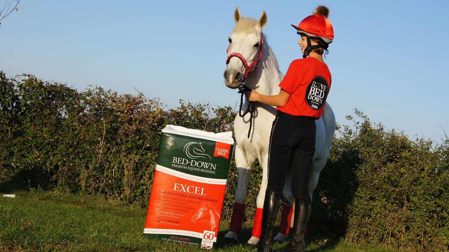 Advice & Support BedDown Equine Bedding
