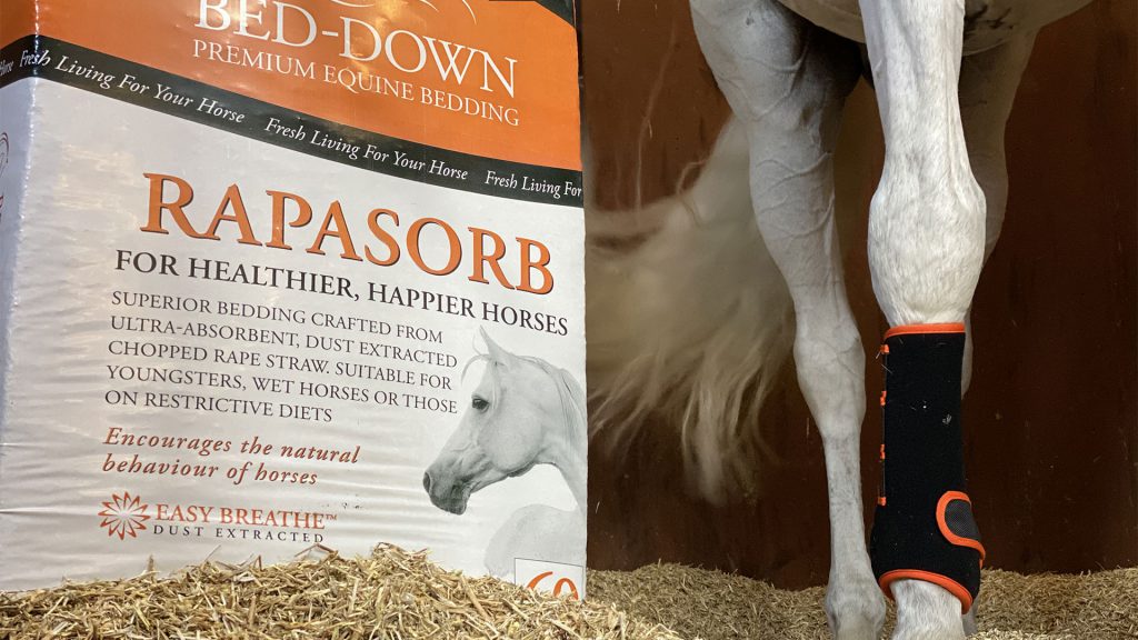 Bed-Down Rapasorb Bedding