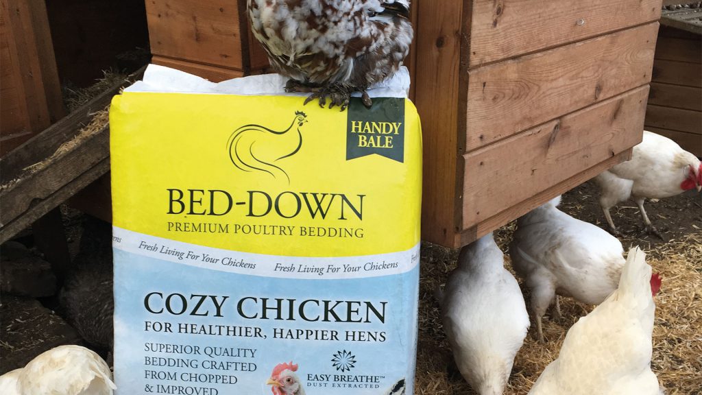 Cozy Chicken Poultry Bedding