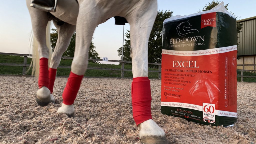 Excel Bedding