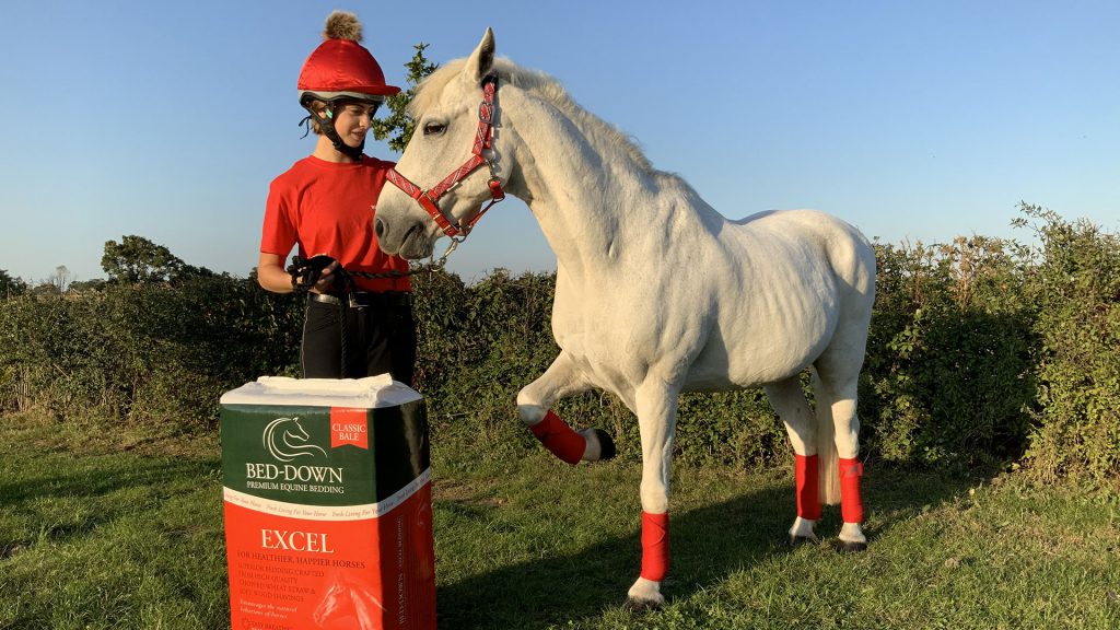 Your Horses Choice