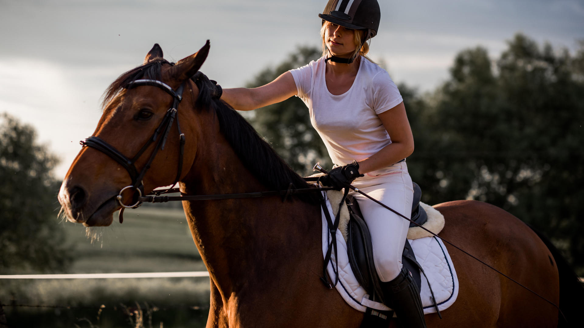 Equestrian Bedding Southampton