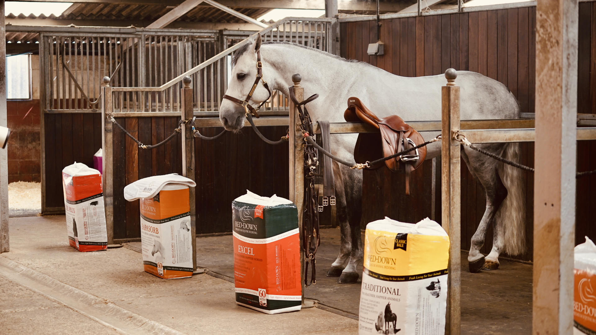 Swindon Equestrian Community