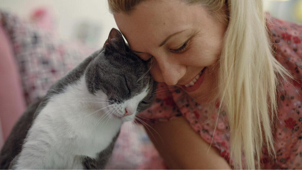 Catterina Cat Litter