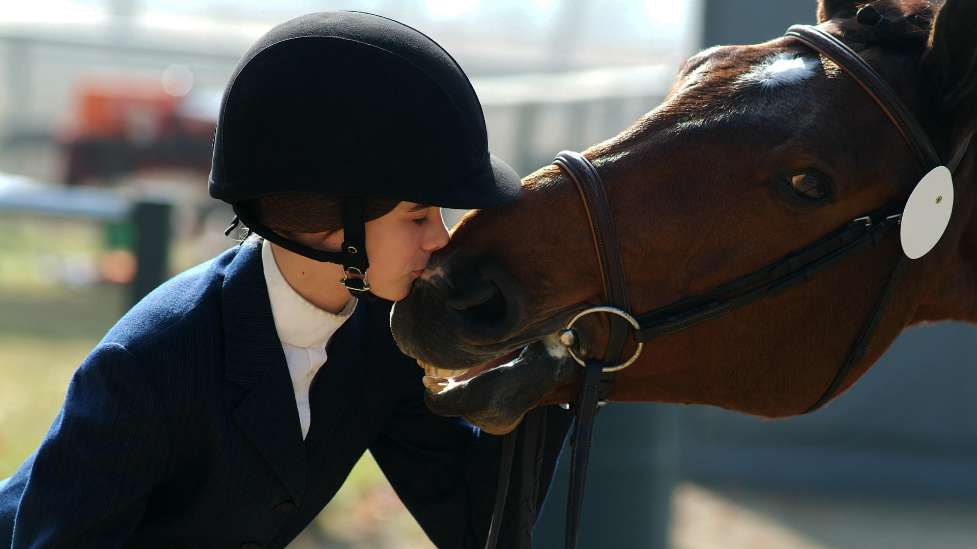 Horses Bedding High Wickham