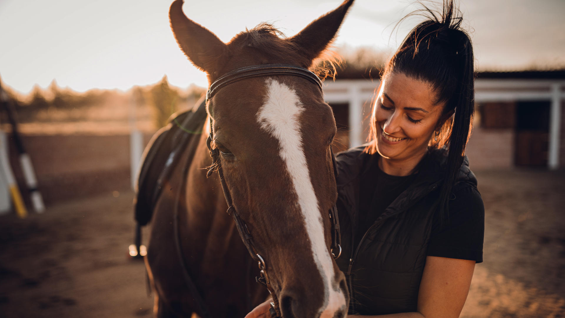 Reading equestrian bedding