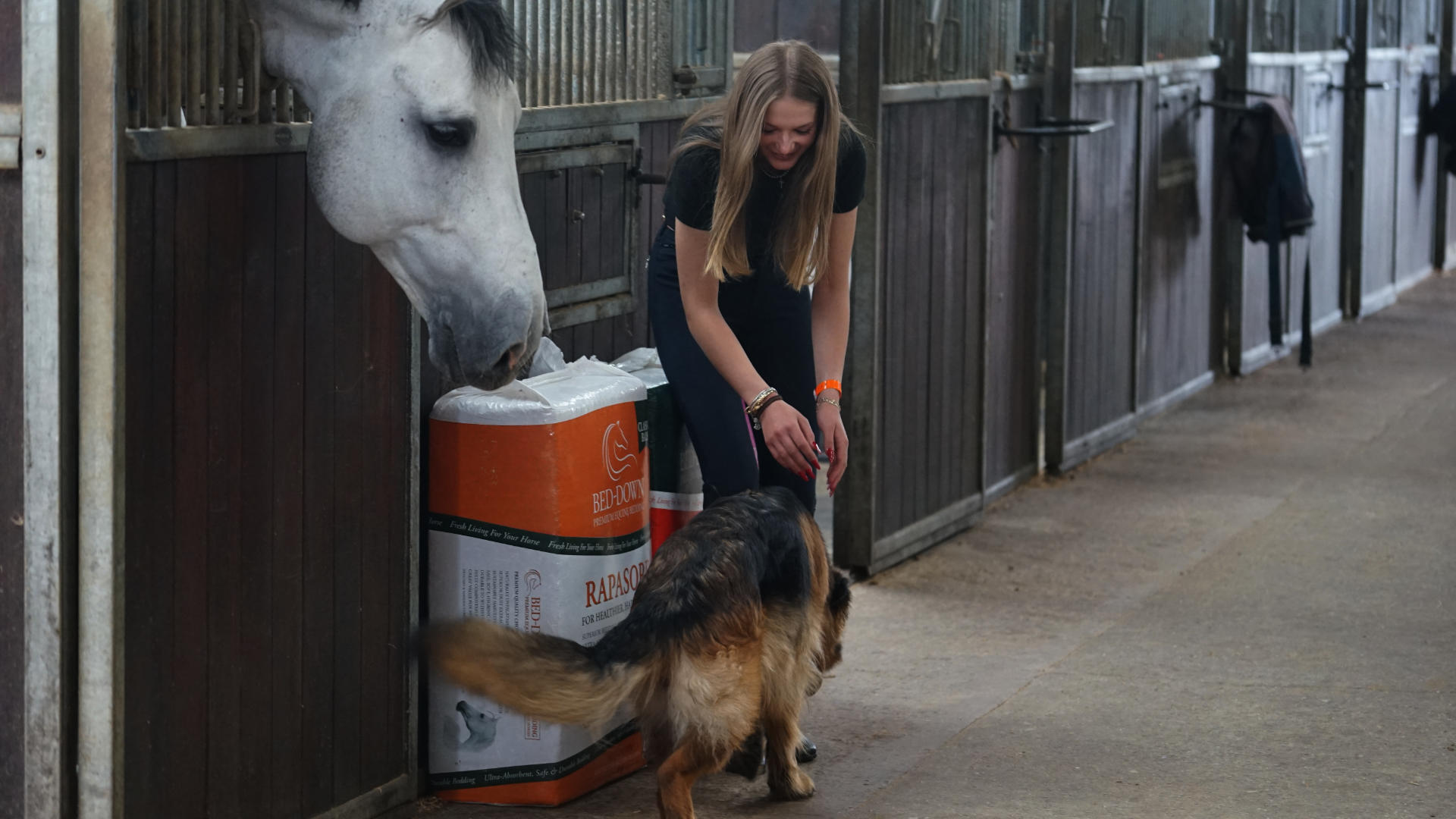 Wiltshire Equestrian Bedding