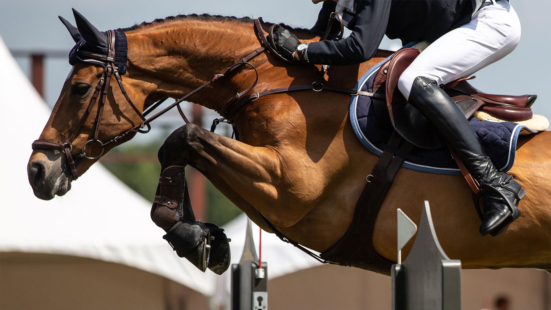The Agria Hickstead Royal International 22-27th July 2025