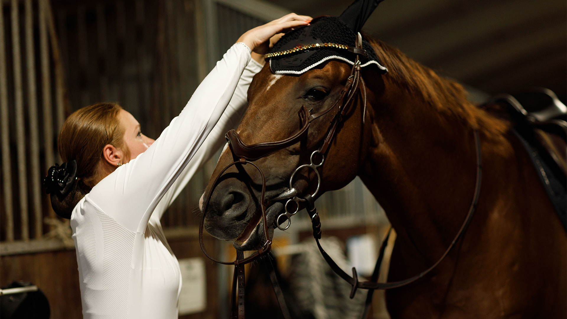 Horses for courses: choosing the right bedding for your equine friend