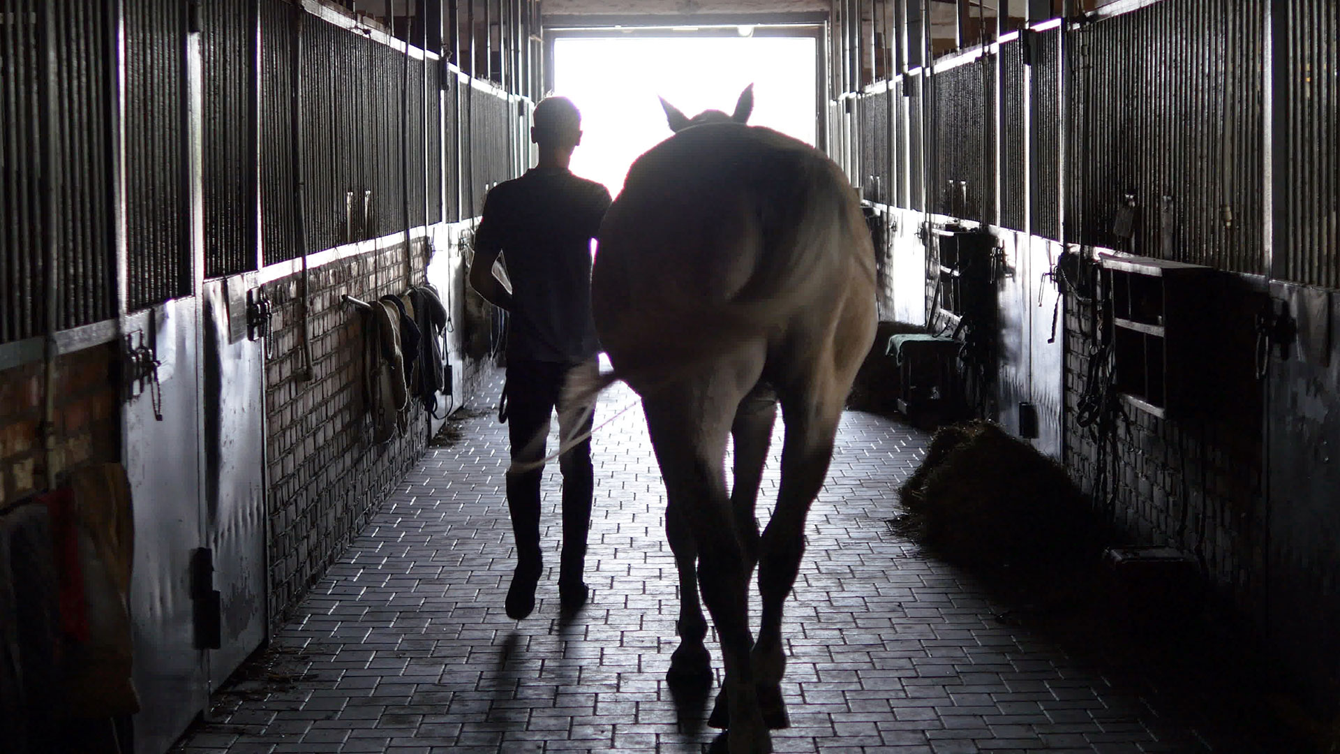 Excel equine bedding – support and absorbency for competition horses