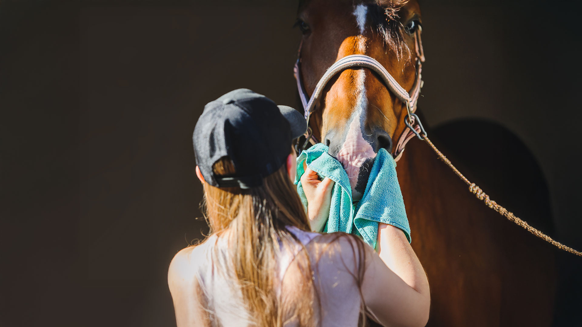 What’s the best equine bedding for messy horses?