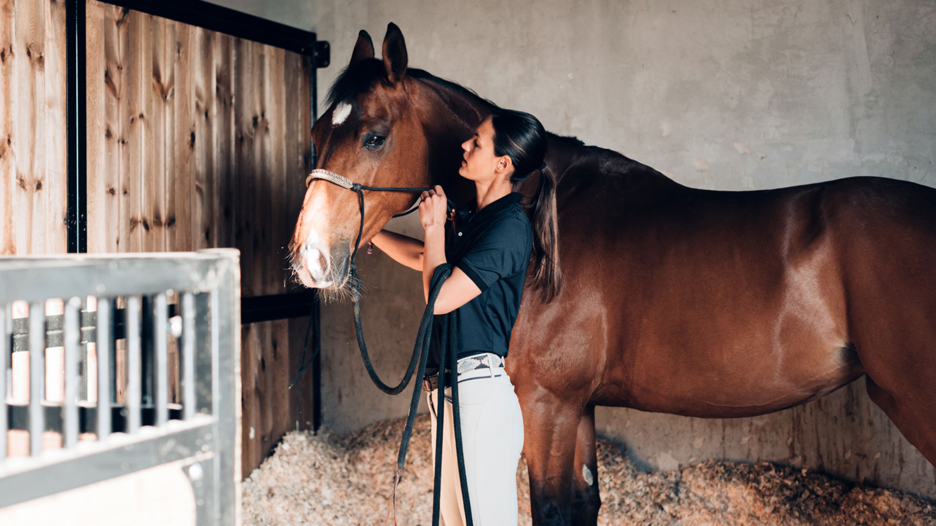 A hidden danger why dust in stables puts horses at risk