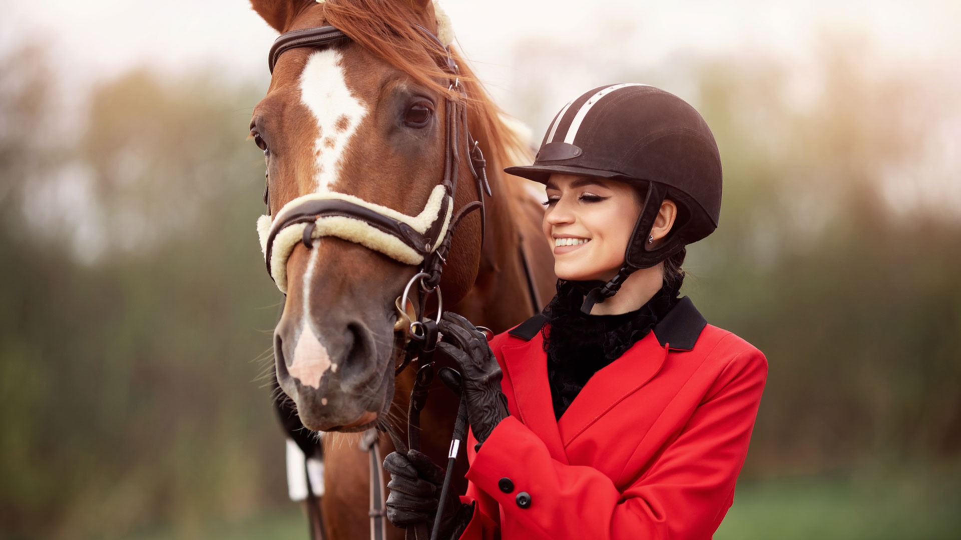 Handy Bale equine bedding for horses on the move