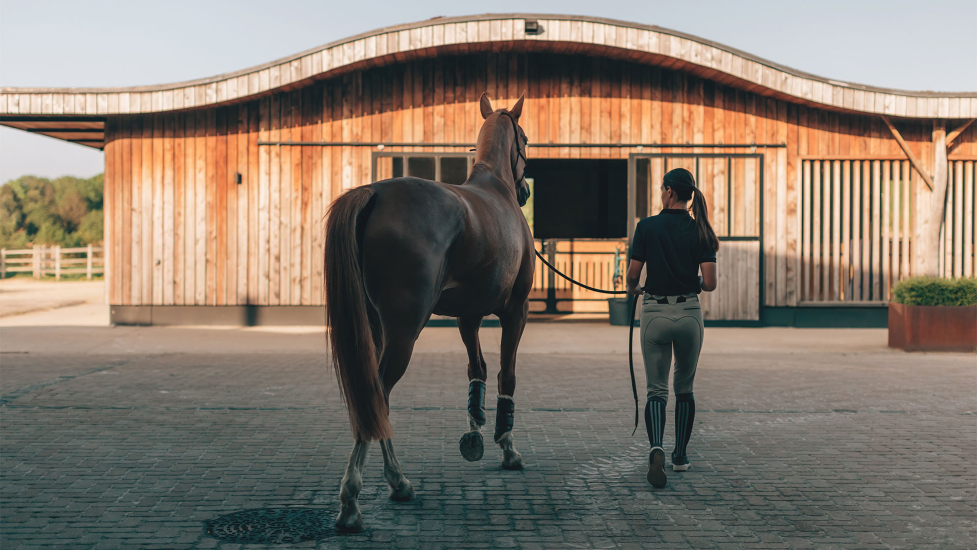 The Science of Comfort horse bedding for a cosy healthy stable