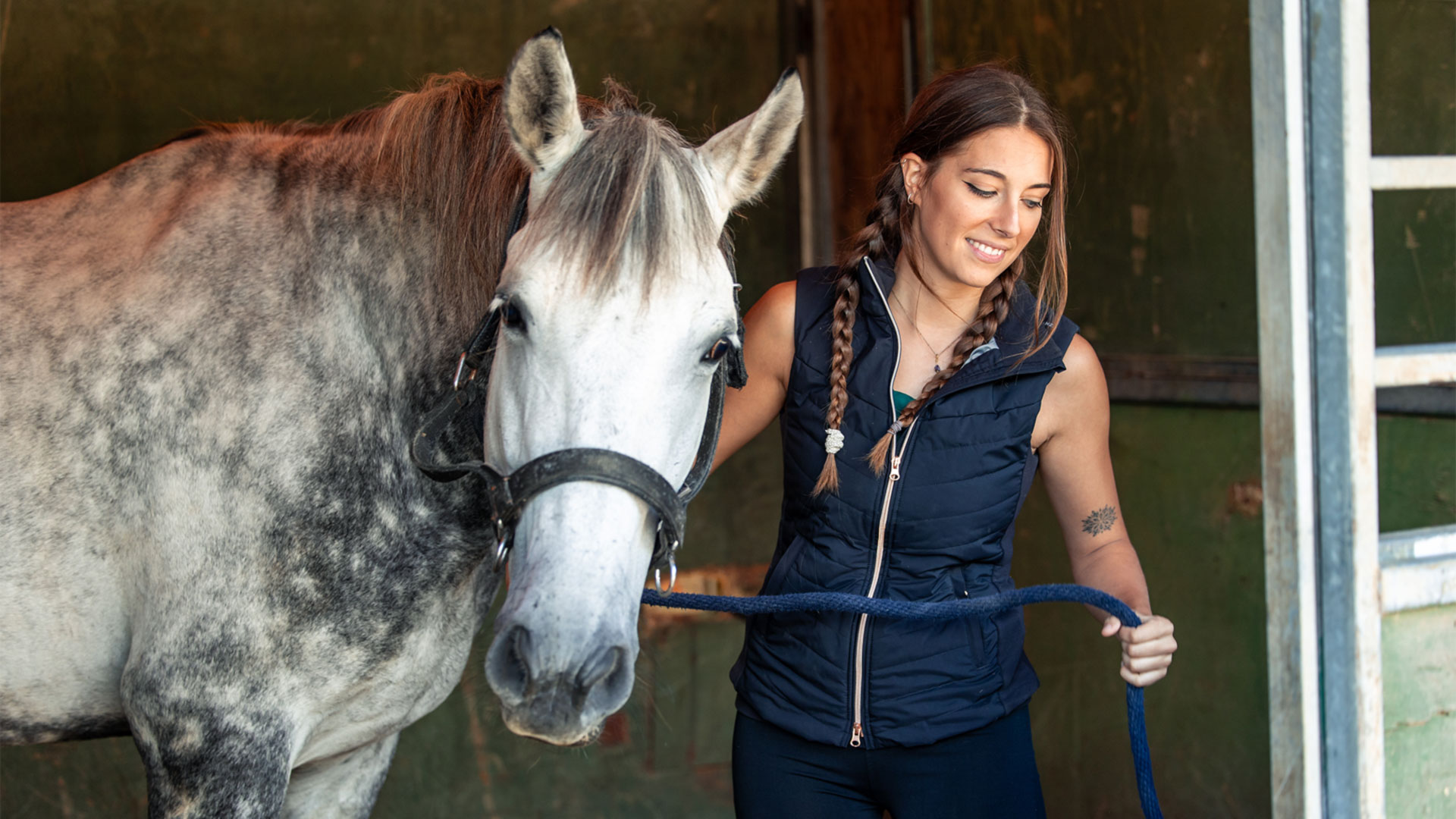 Bed-Down horse bedding: lasts longer, saves money!
