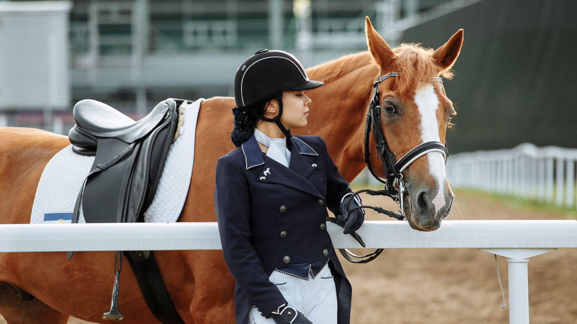 Essential horse bedding: where affordability meets quality