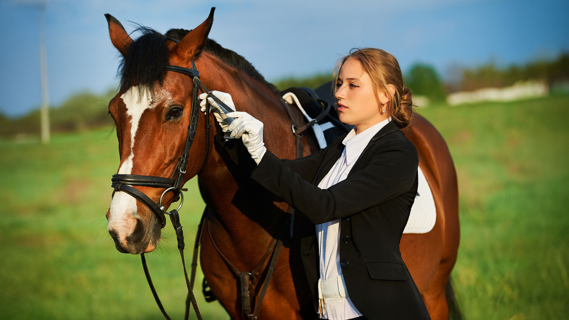 Traditional equine bedding, for healthy horses!