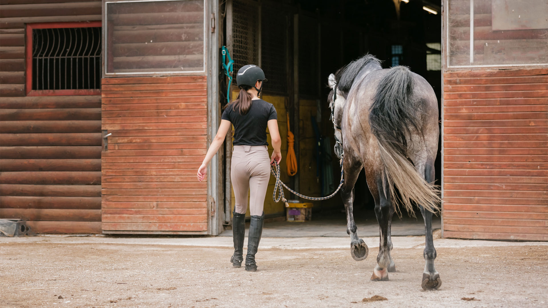 Equine bedding choose wisely