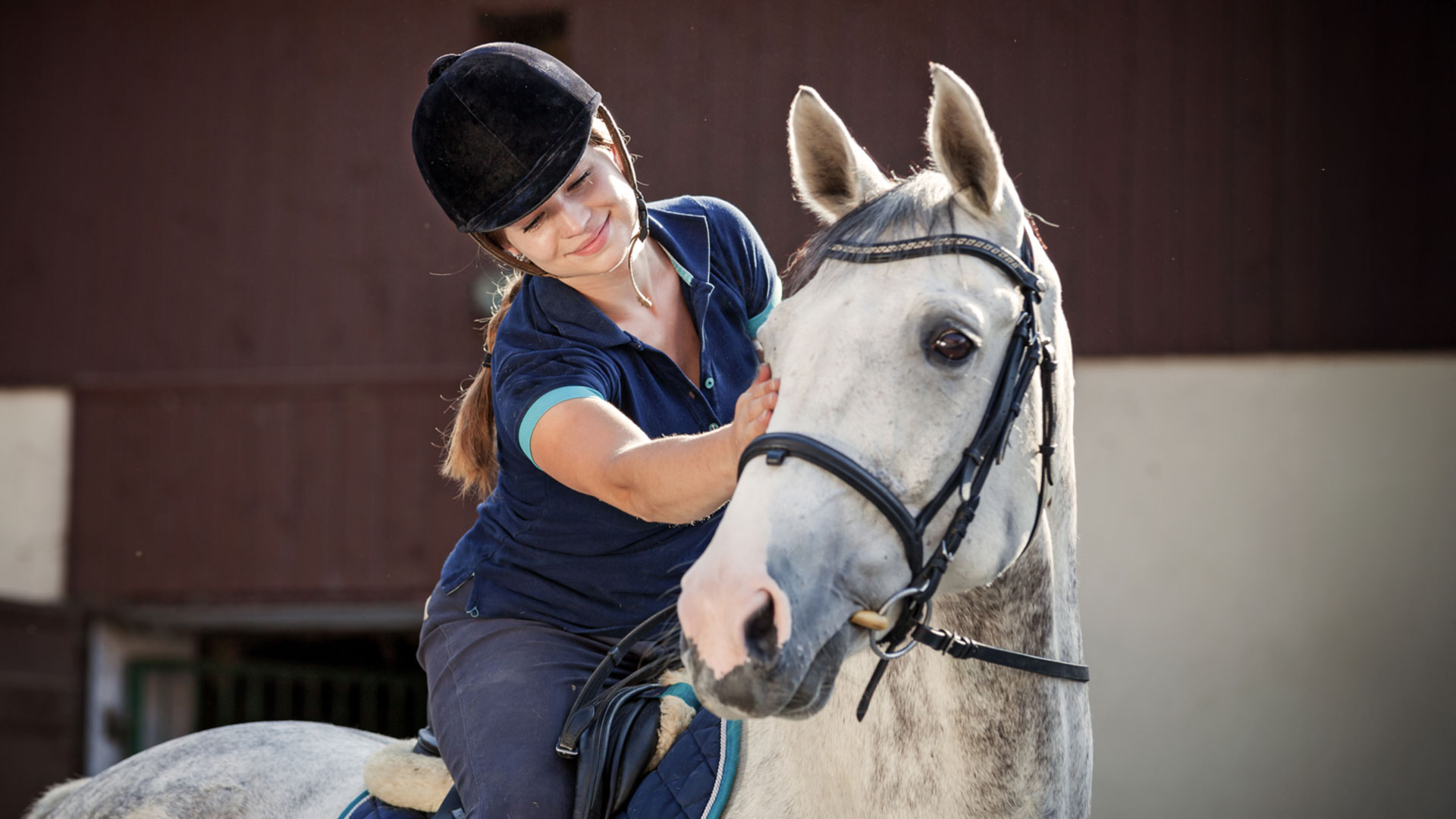 How equine age shapes stable management