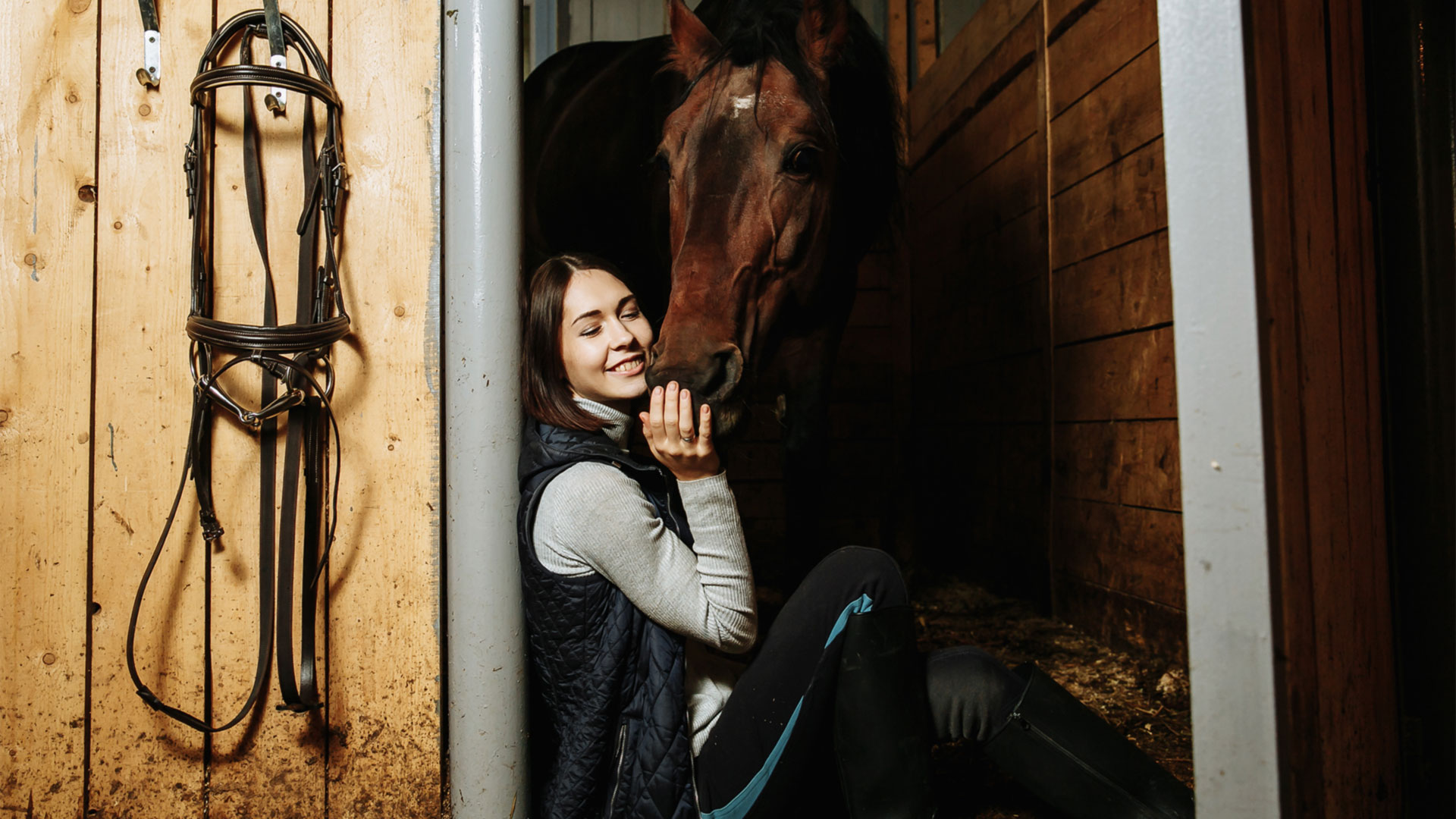 Which bedding for your horse
