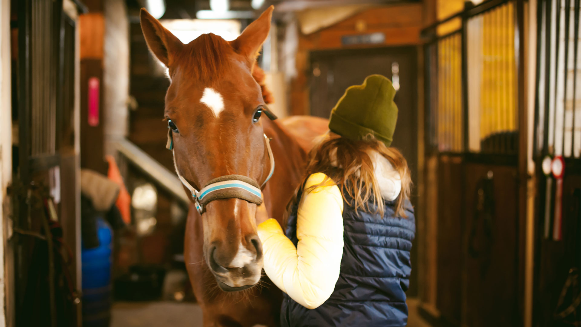 Why are there so many types of horse bedding