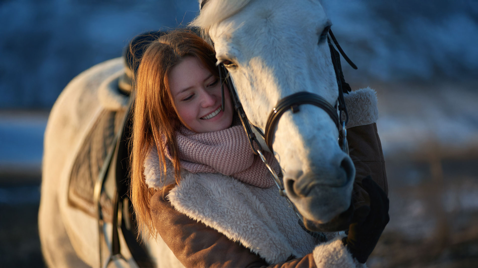 How to keep a horse warm and dry in winter