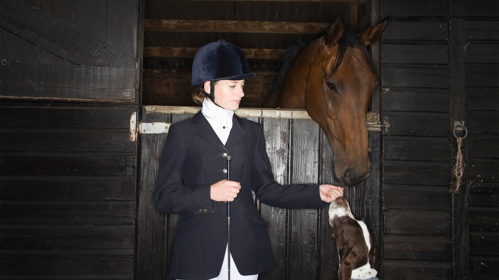 What sort of equine bedding is best in winter