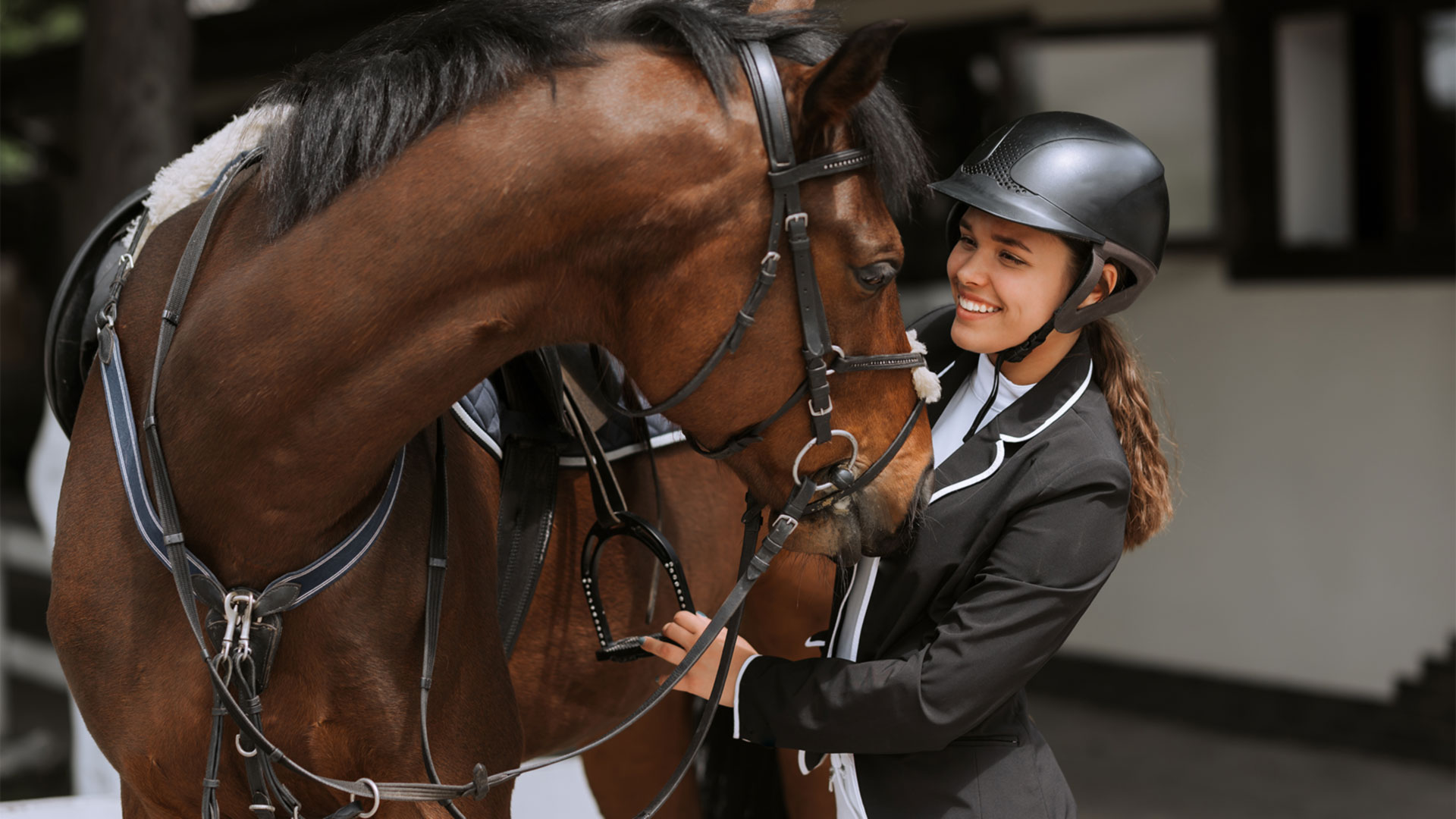 Why choose Bed Down for your equine bedding in 2026