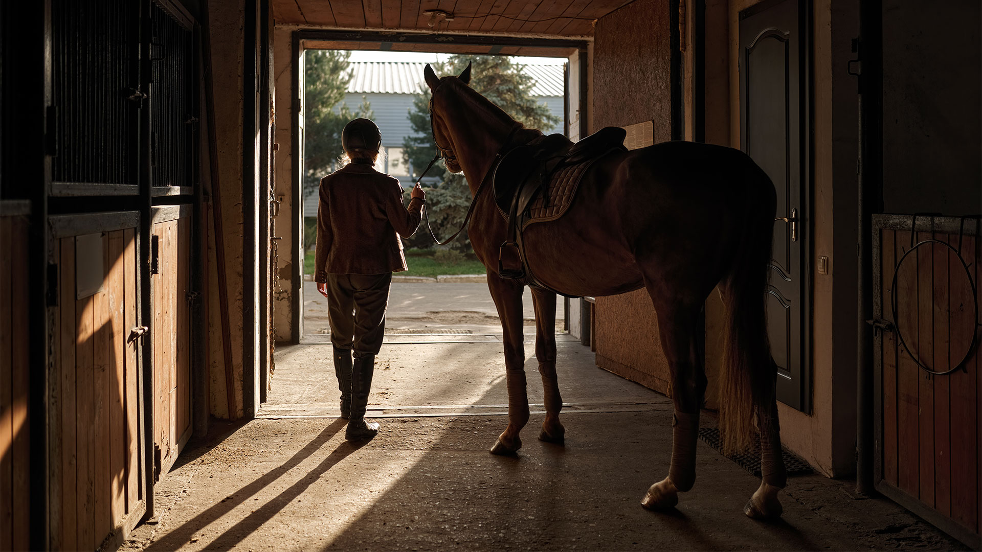 Product Focus: Lavender Shavings