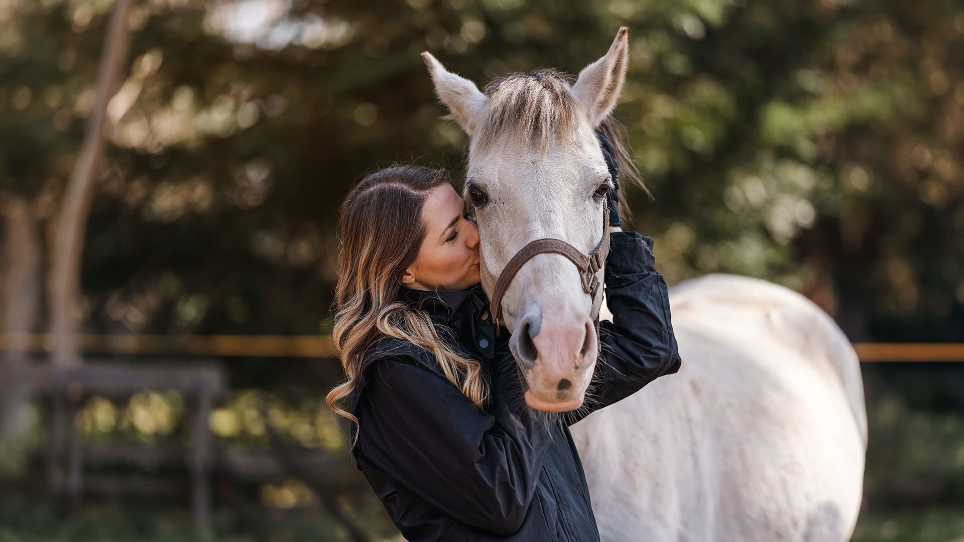 Why dust-free equine bedding matters
