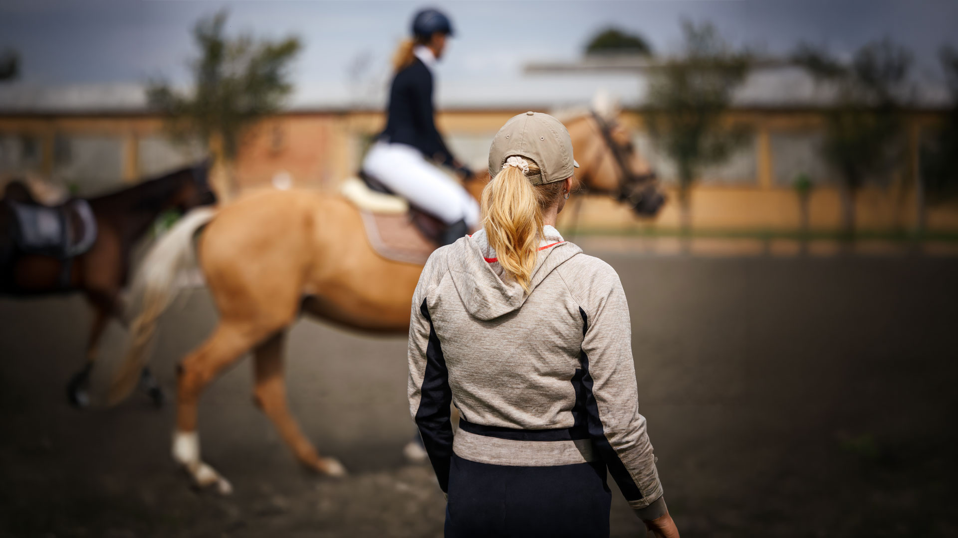 Equestrian events 2026 looking forward to the year ahead