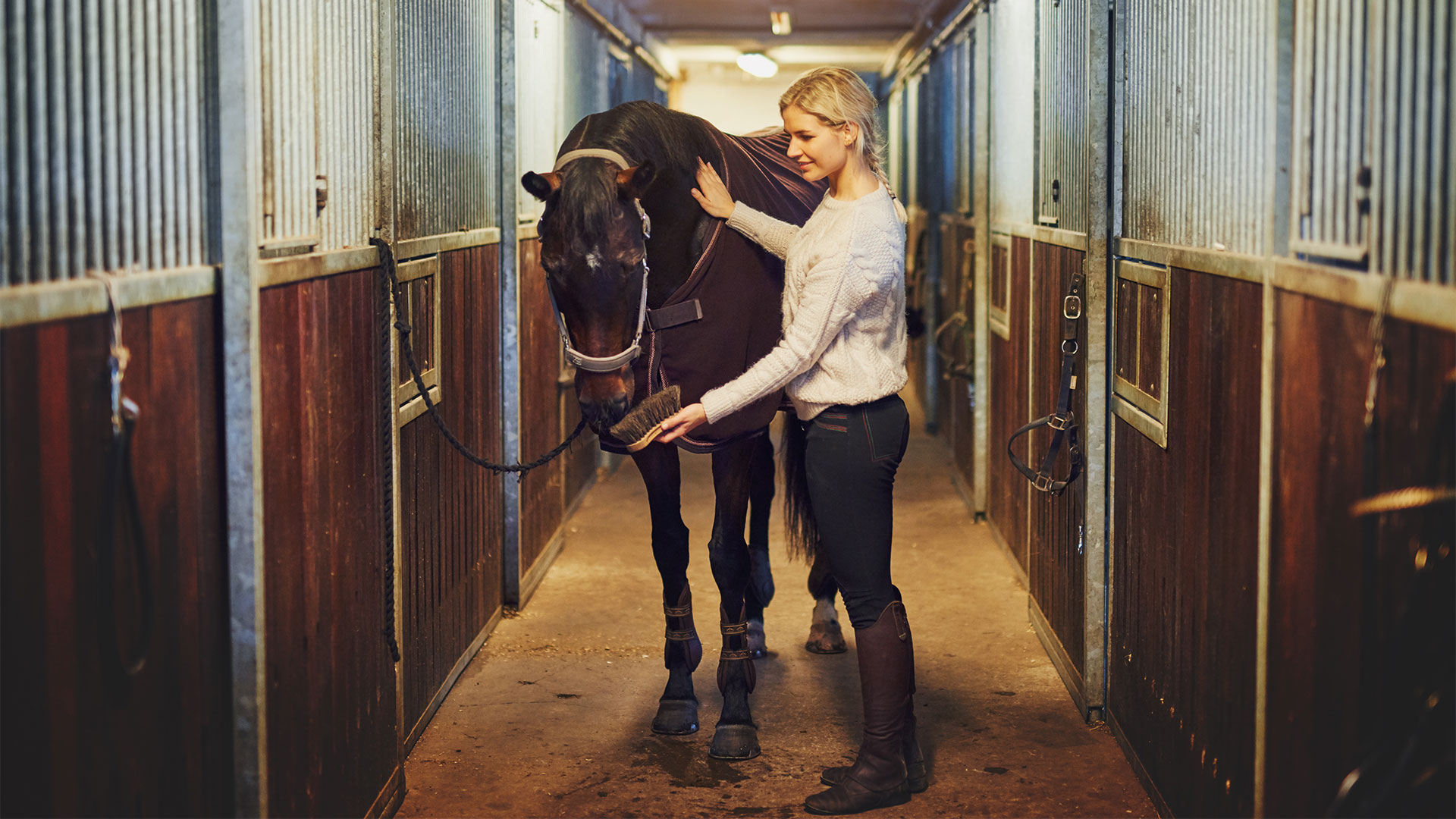 Product focus: Rapasorb equine bedding