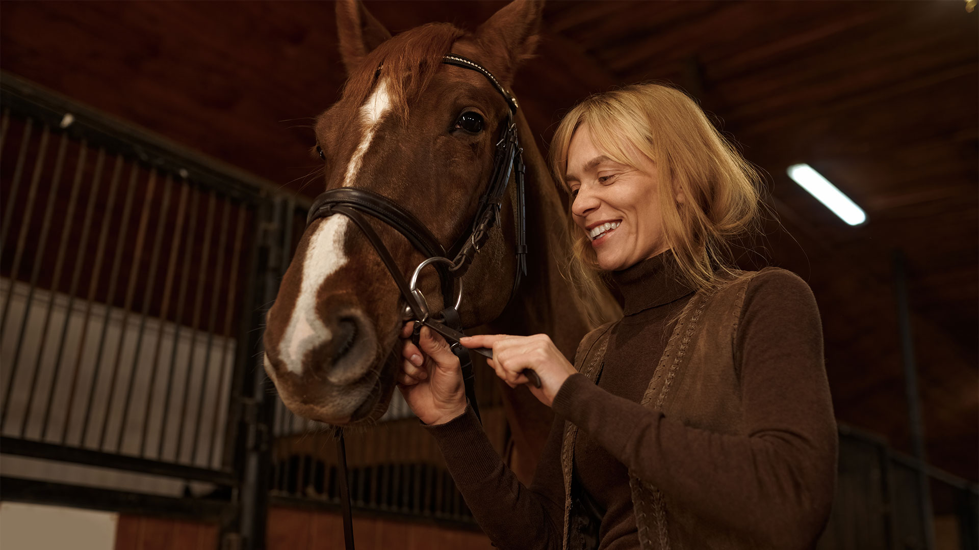 Dust Extracted Horse Bedding