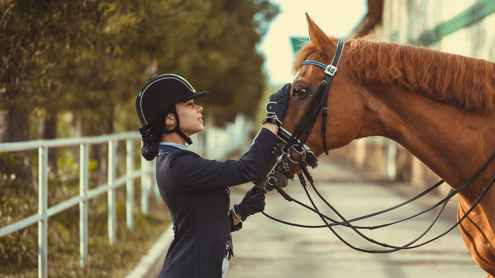 Horse bedding for South Yorkshire