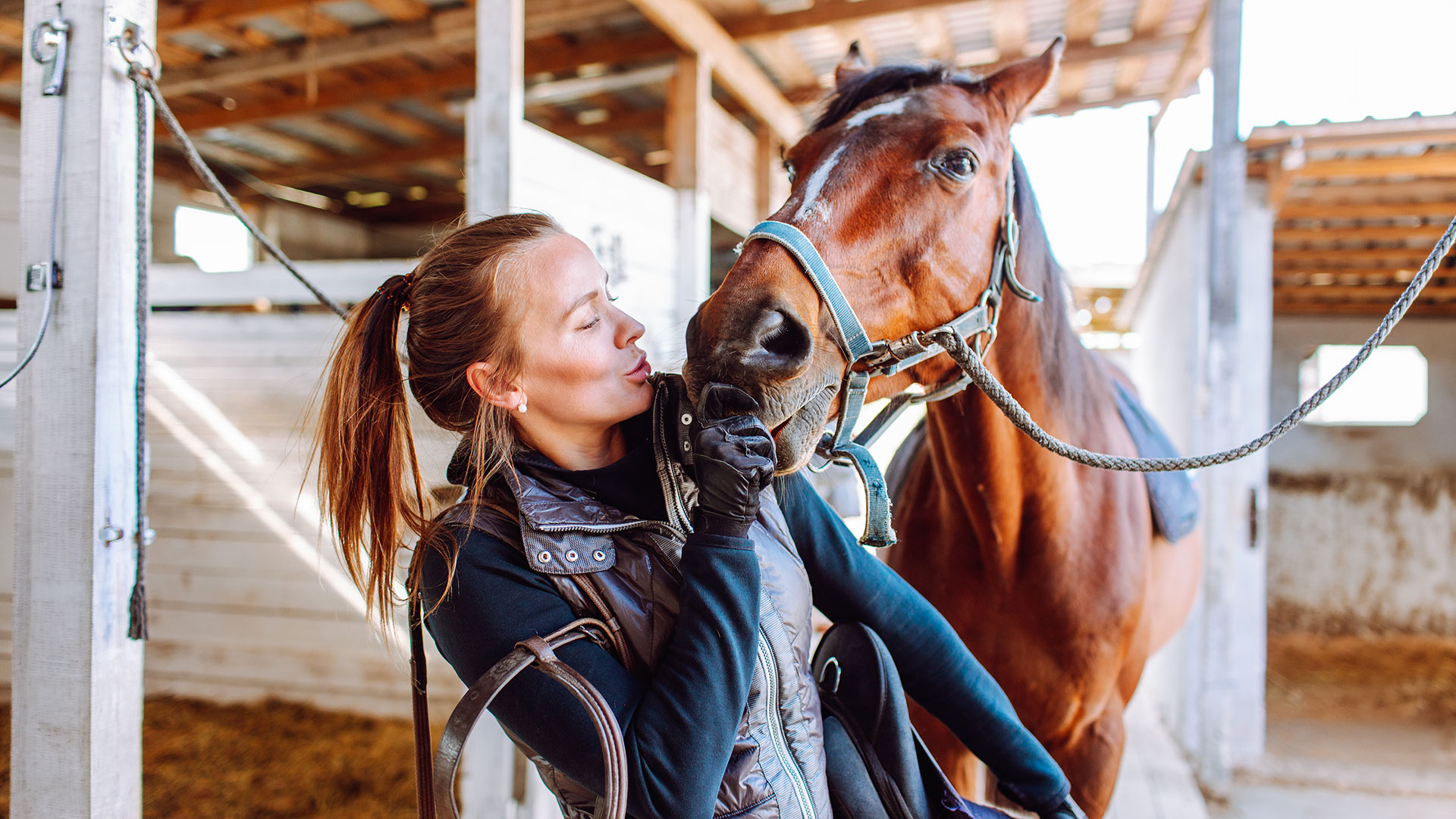 Pure Shavings Horse Bedding without compromise