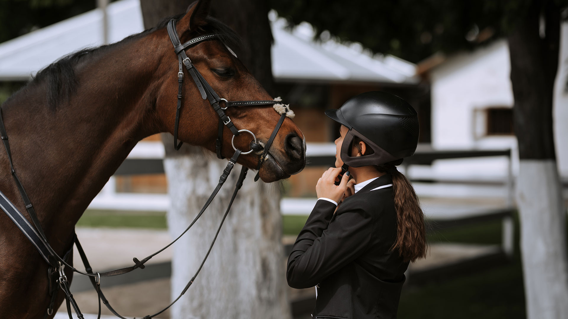 Bed Down Premium equine bedding