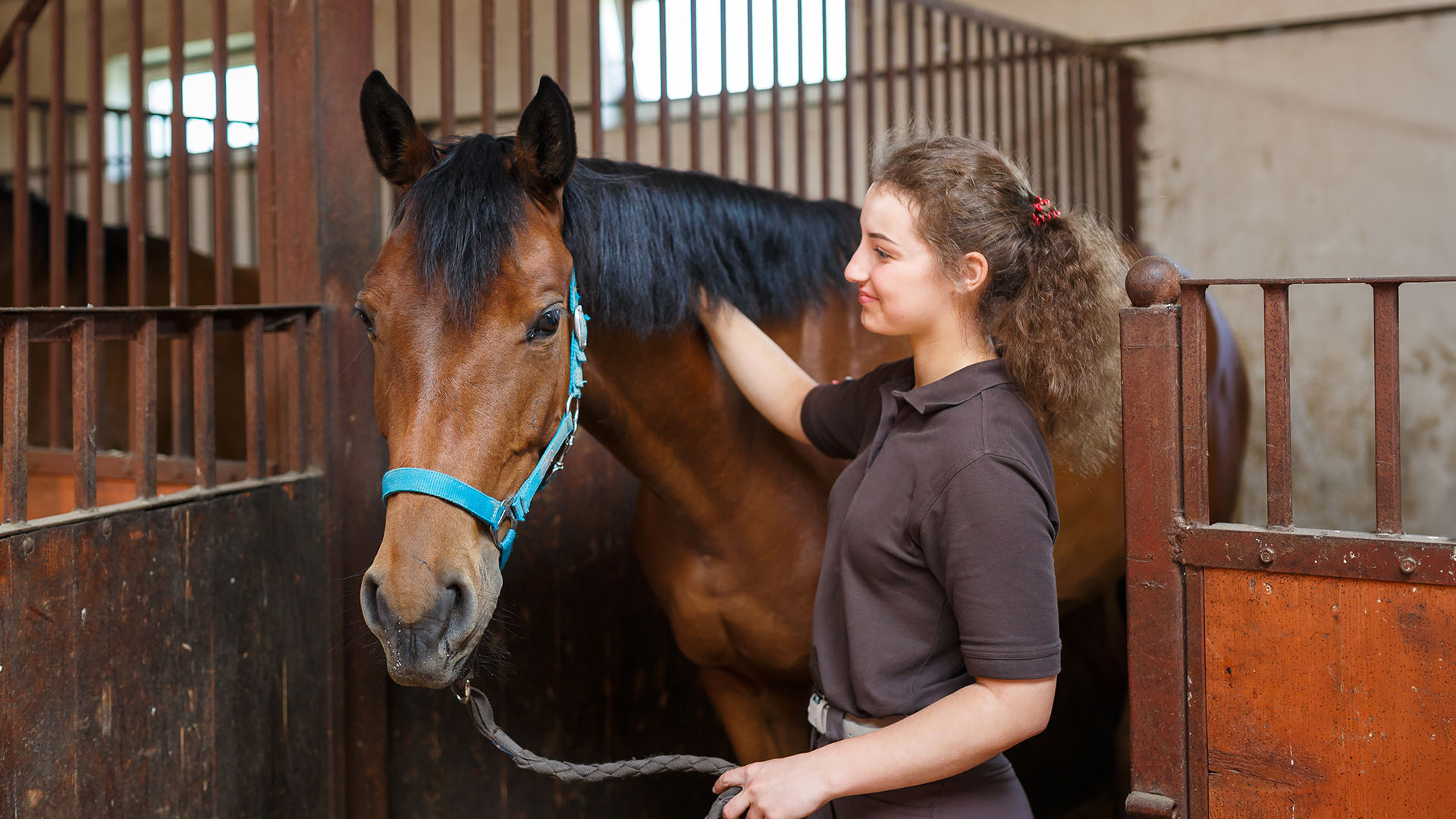 The horse bedding choice for Hereford equestrians